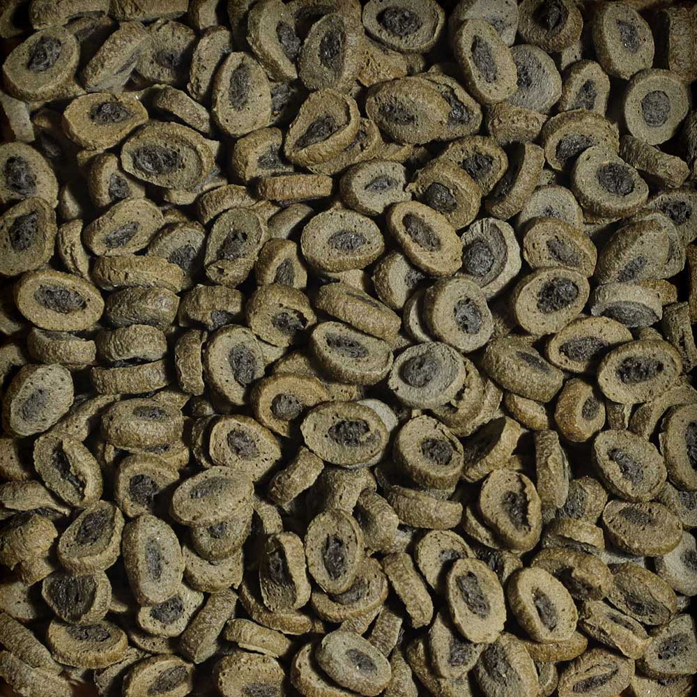 Sera Professional Reptil Herbivor Nature per Tartarughe di Terra 3,8 l 1Kg