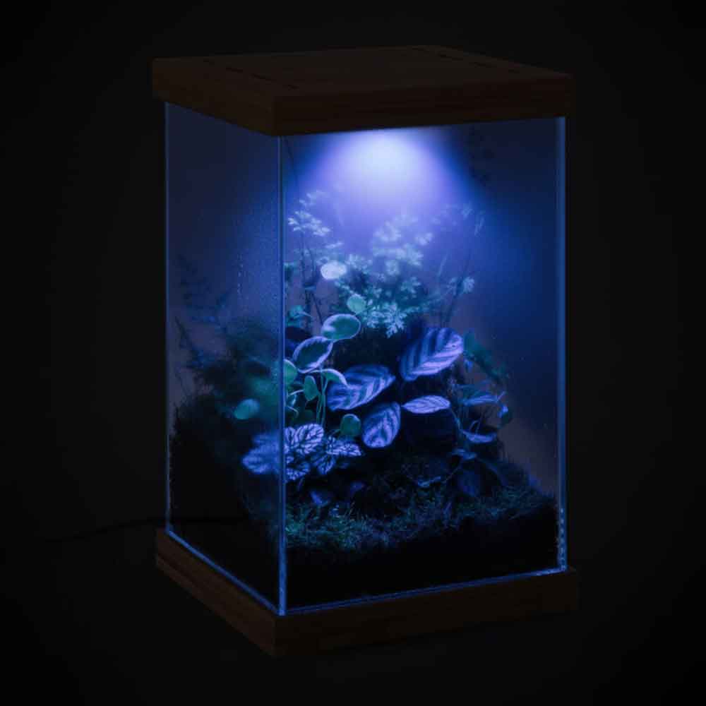 Aquael Selva Mini Terrarium Led RGB App Control