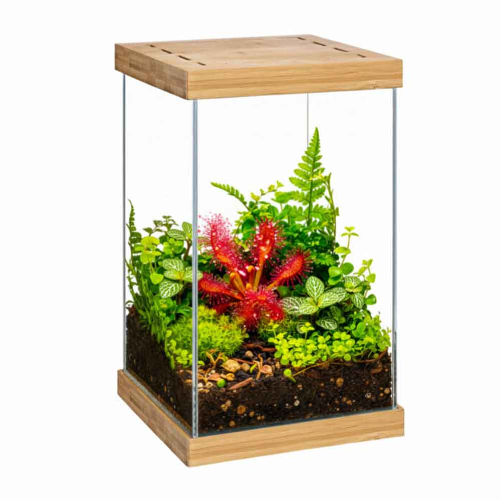 Aquael Selva Mini Terrarium Led RGB App Control