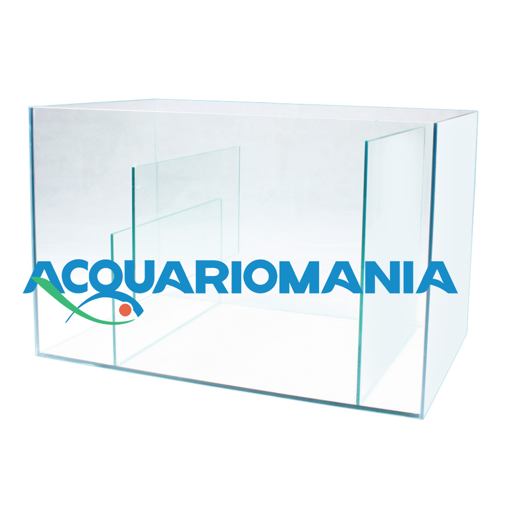 Amtra Xump Sump Vasca tecnica in vetro con divisori 65x38x38