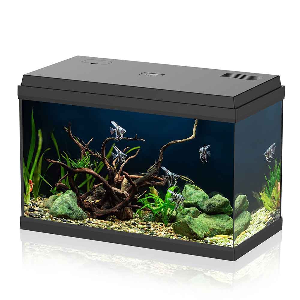 Aqpet Acquario Simply Led 60 60x30x39h cm 60 litri