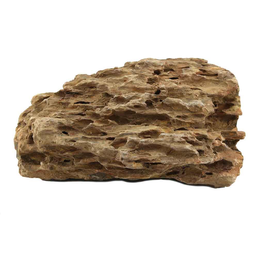 Roccia Dragon Stone 45 Foto Reale e peso 30x25x12h