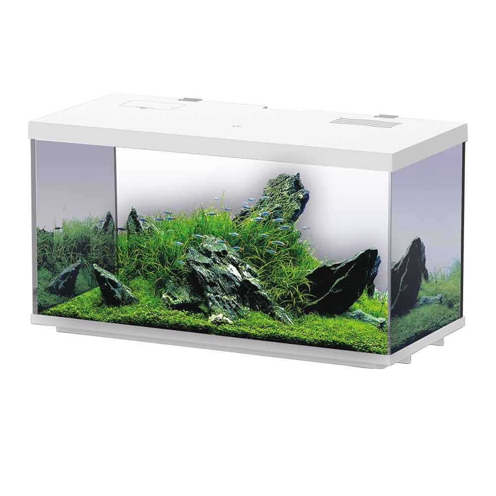 Blu Bios Sirius 21 Acquario completo 38x21x25h cm 18 Litri Bianco