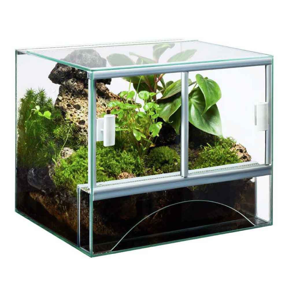 Blu Bios Terrario Paludario Guinea 40x40x30h cm