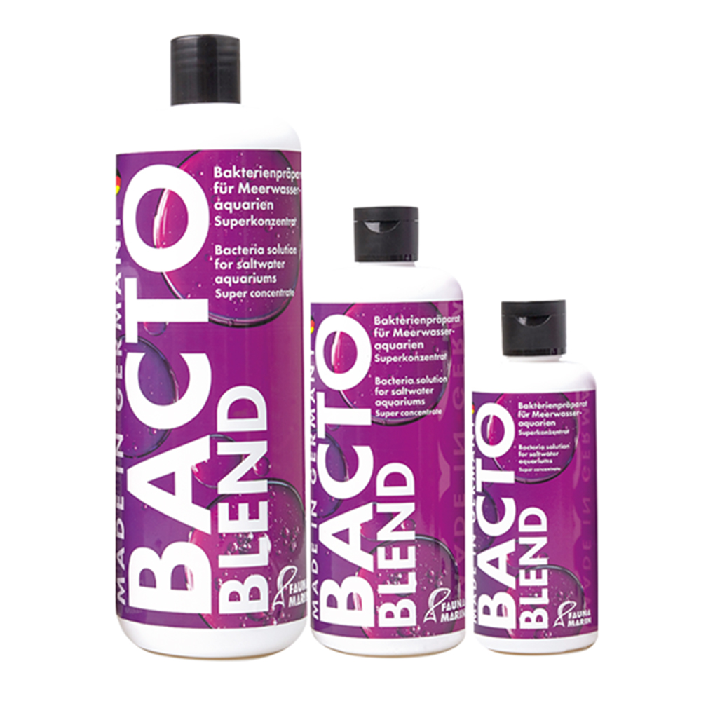 Fauna Marin Bacto Blend Mix di Batteri superconcentrati per marino 250ml
