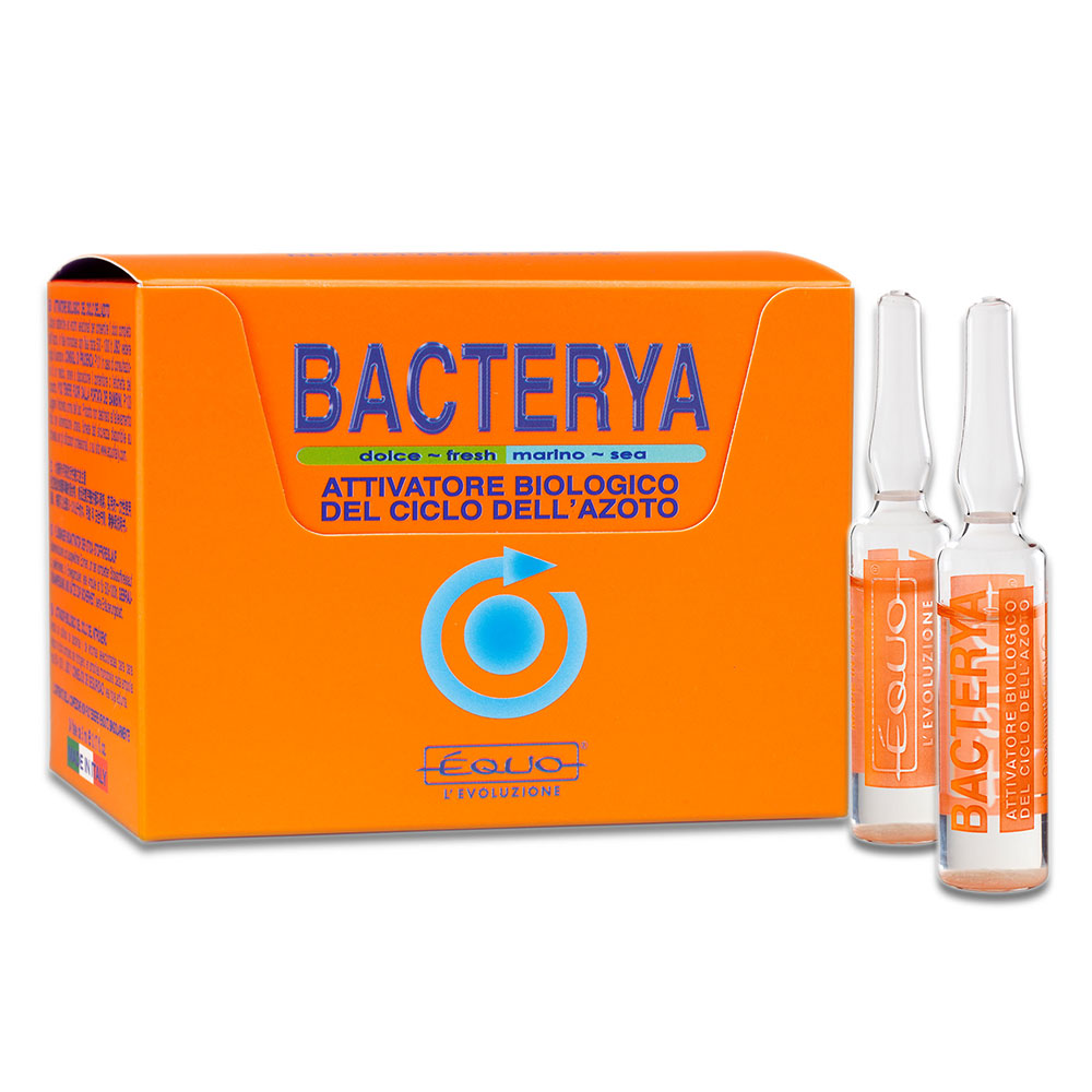Equo Bacterya 12 Batteri in Fiale per 12000Lt