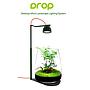 Micmol Drop Black Lampada per Mini Acquari e Paludari