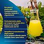 Tetra EasyBalance ottimizzatore dell'acqua 100ml